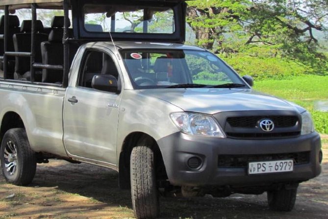 Evening Private Tour Safari at Yala National Park - Key Points