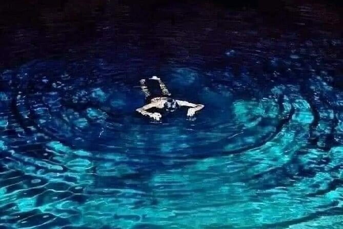 Waterfall Tour & nine arch bridge Ella - Exploring the Itinerary