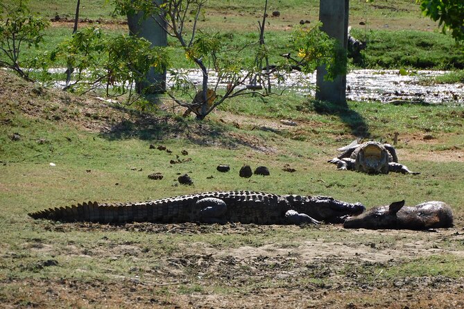 Yala outside Safari & Situlpawwa Temple Visit (ALL INCLUDED) Tour - Frequently Asked Questions