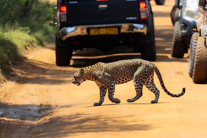 Yala National Park Private Tour with Fast Entry - FAQ