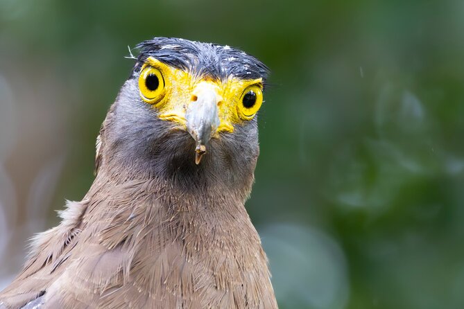 Yala National Park Private Tour with Fast Entry - Final Thoughts