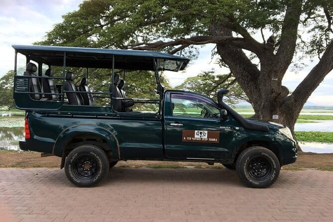 Yala National Park Safari - Half day and Full day - Final Thoughts: Is It Worth It?