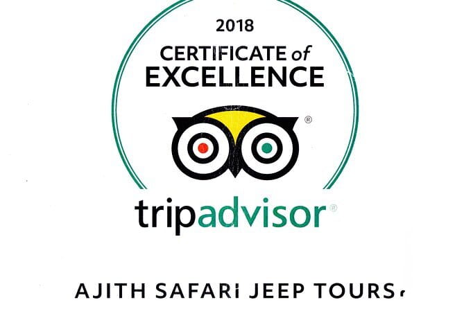 Yala Camping by Ajith Safari All Inclusive - Who Should Consider This Tour?