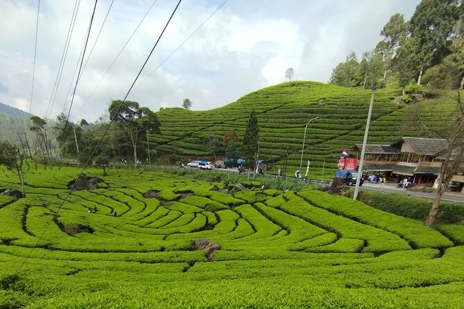 Volcano Mountain Private Car Tour White Crater Bandung - Good To Know