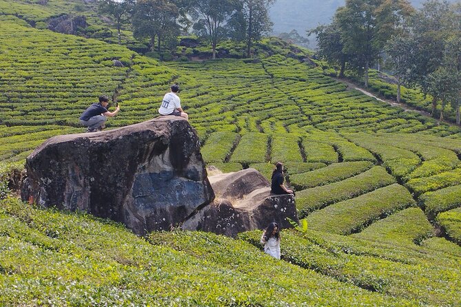 Volcano Mountain Private Car Tour White Crater Bandung - Exploring Bandung’s Volcanic Beauty: A Deep Dive into the Volcano Mountain Private Car Tour White Crater Bandung