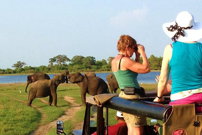 VALUE PACK! One Day Safari Tour to Yala and Udawalawa Parks - Why Choose This Tour?
