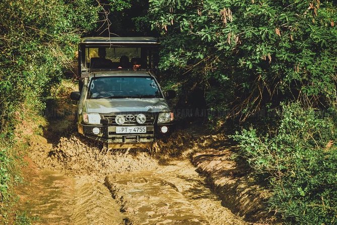 VALUE PACK! One Day Safari Tour to Yala and Udawalawa Parks - A Deep Dive into the Tour Experience