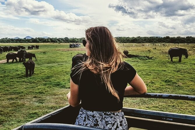 VALUE PACK! One Day Safari Tour to Yala and Udawalawa Parks - The Sum Up: Is This Tour Right for You?