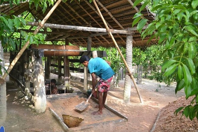 Galle Day Private Tour Beruwala/Bentota/Kosgoda/Ahungalla - Navigating the Madu River