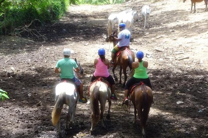 Adrenaline, Tubbing, Zip Line, Rappelling, Hot Springs Tour - Key Points