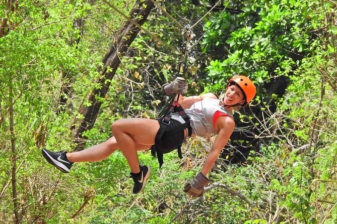 Zip line and Monkey Park Activity at Guanacaste - Key Points