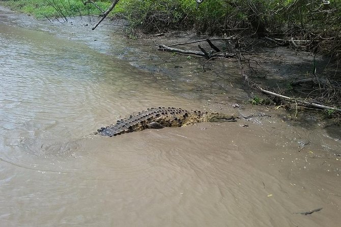Wildlife Tour at Palo Verde National Park - FAQ