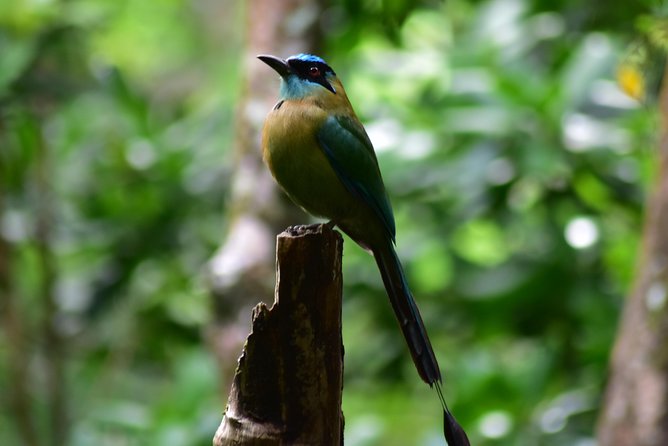 Volcano-Waterfall and Hot Springs Combo ( Private) - Key Points