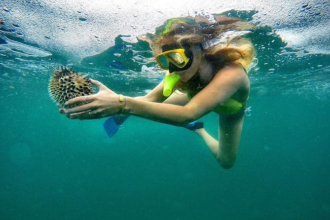 ATV and Snorkel from Playa Flamingo - A Detailed Look at the Experience