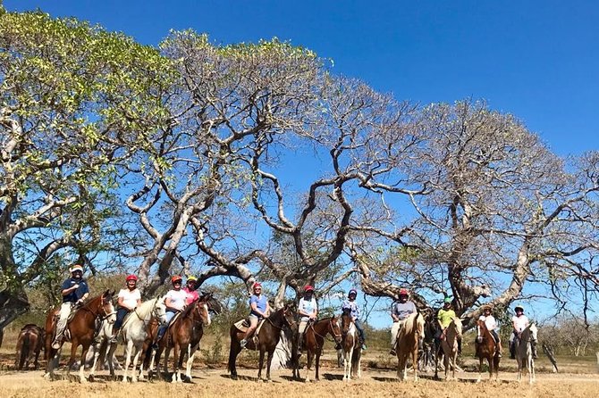 Tour Combo - WRCT Adventures Private Zipline & Horseback Ride - An In-Depth Look at the Combo Experience