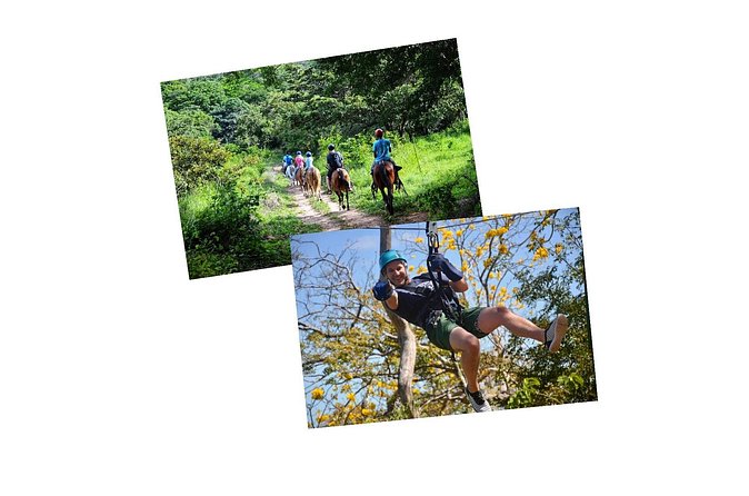 Tour Combo - WRCT Adventures Private Zipline & Horseback Ride - Who Will Love This Tour?