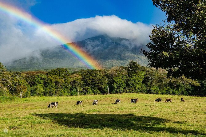 Miravalles Volcano Private Nature Tour with Hot Spring - An In-Depth Review of the Miravalles Volcano Private Tour