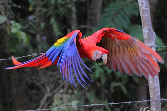 Palo Verde River Boat Trip - Final Thoughts: Who Will Love This Experience?