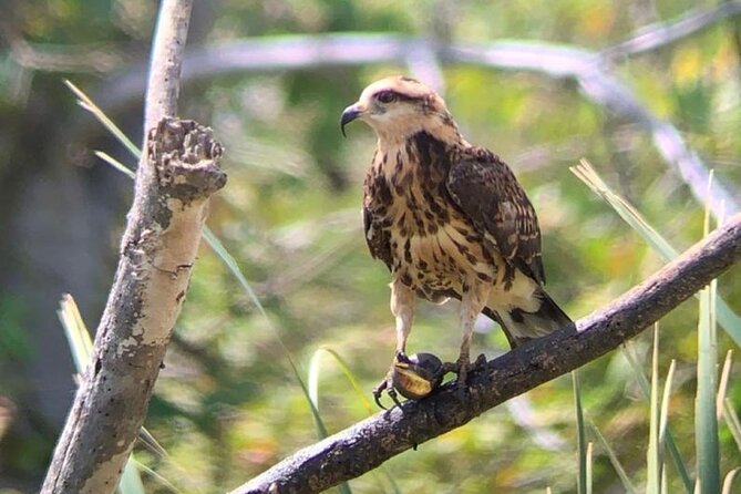 Palo Verde River Boat Trip - Key Points