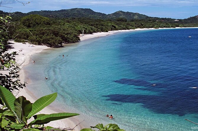 Shuttle From Liberia Airport To W Costa Rica Hotel - Detailed Review of the Liberia Airport to W Costa Rica Hotel Shuttle