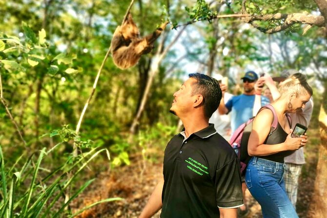 Sloth Sanctuary WildLife Hike - The Experience in Detail