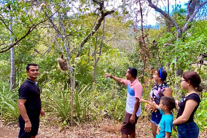 Sloth Sanctuary WildLife Hike - The Sum Up
