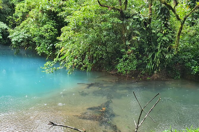 Rio Celeste Waterfalls Volcano and Sloths - Price and Value Analysis