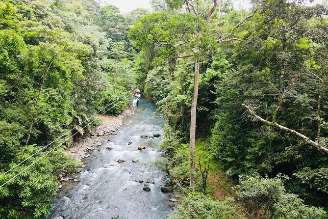 3 in 1, zipline over blue river, tubing on blue river and sloths - Final Summary: Is This Tour Worth It?