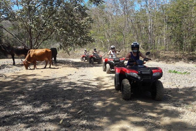 ATV Half day adventure from Riu and papagayo - FAQs