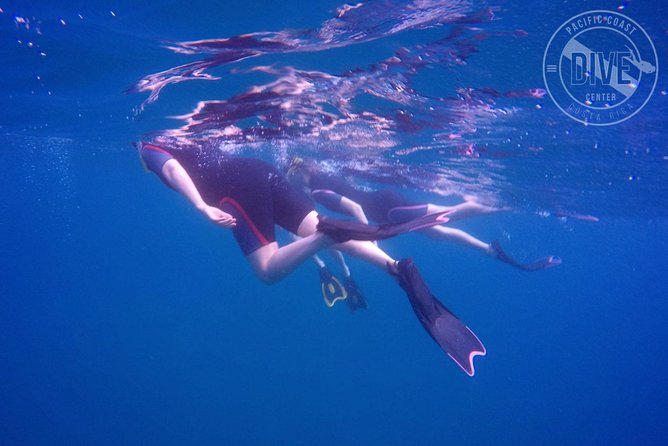 Snorkeling at Catalina Islands & North Island - CR - The Experience: What You Can Expect