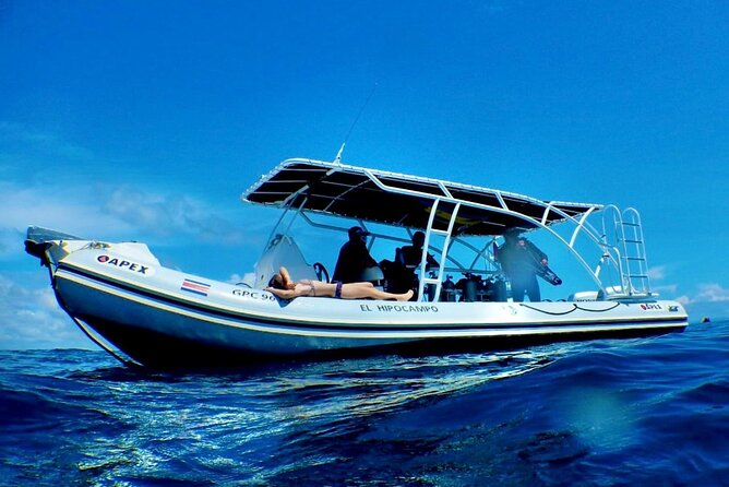 Tamarindo private snorkeling boat tour - An Exciting Day on the Water: Tamarindo Private Snorkeling Boat Tour