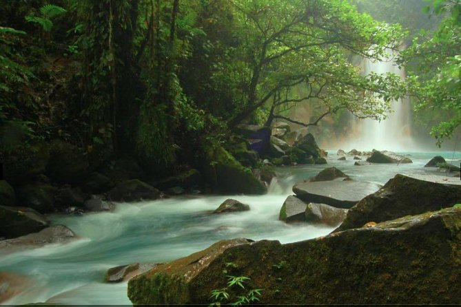 Wildlife Nature Hike, Blue Waterfall, Lunch & Sloth Trail - Tenorio Volcano Park - Frequently Asked Questions