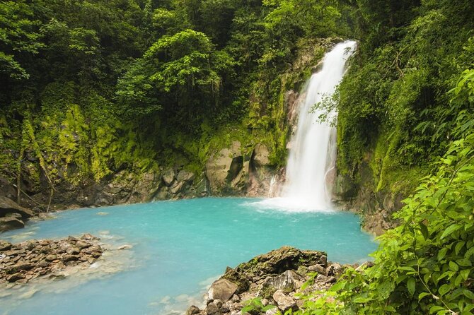 Wildlife Nature Hike, Blue Waterfall, Lunch & Sloth Trail - Tenorio Volcano Park - An In-Depth Look at the Tenorio Volcano Park Experience