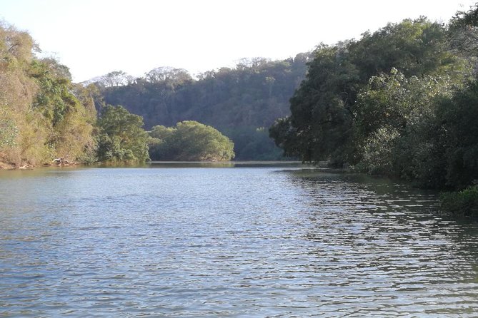 Mangrove Kayak - Key Points