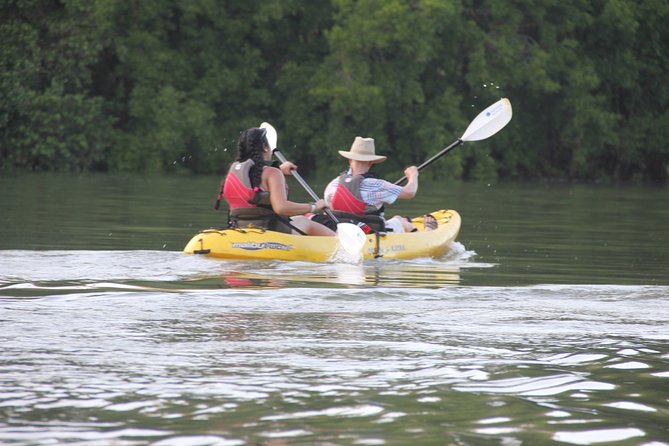 Wildlife and Mangrove Kayaking Tour Río Ora - An In-Depth Look at the Río Ora Kayaking Tour