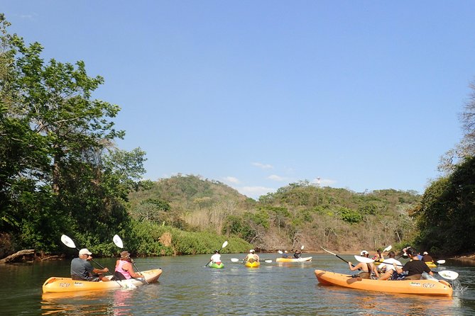 Wildlife and Mangrove Kayaking Tour Río Ora - Who Should Book This Tour?