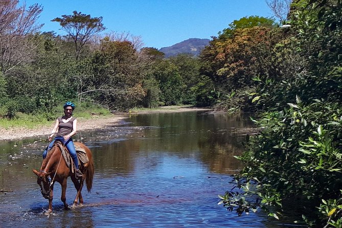 Safari Horse Riding Tour - An In-Depth Look at the Safari Horse Riding Tour