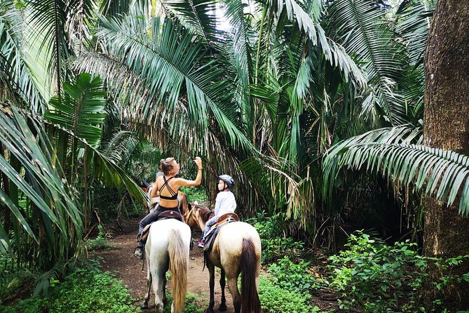 Safari Horse Riding Tour - Key Points