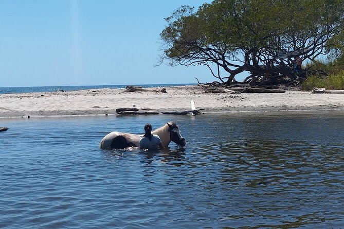 Horseback ride, picnic and swimming at Barigona beach - The Sum Up: Who Will Love This Tour?