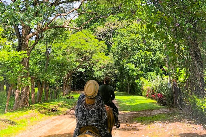 Horseback ride, picnic and swimming at Barigona beach - Discover the Hidden Gem of Costa Rica: Horseback Ride, Picnic, and Swimming at Barigona Beach