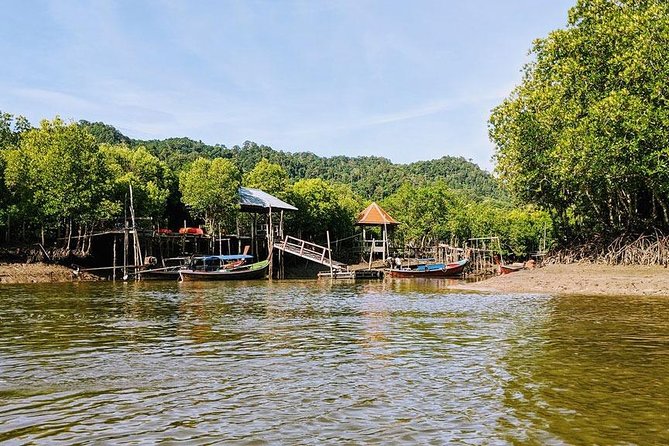 Tung Yee Peng Mangrove Forest Tour By Longtail Boat From Koh Lanta - The Verdict