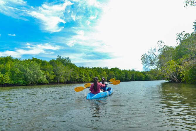 Half Day Mangrove Kayaking Adventure Tour From Koh Lanta - Who Will Enjoy This Tour?