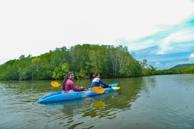 Half Day Mangrove Kayaking Adventure Tour From Koh Lanta - Cost and Value