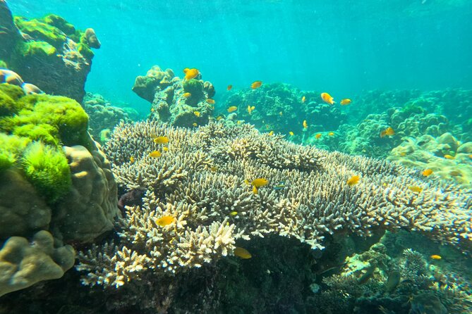 Full Day Snorkeling Tour to KohRok and KohHaa from KohLanta - Final Thoughts