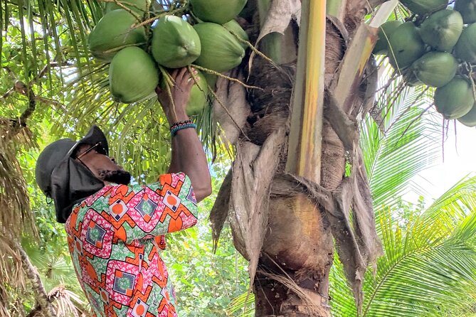 Garifuna Cultural and Culinary Experience in Hopkins Belize - A Detailed Look at the Garifuna Cultural and Culinary Experience in Hopkins