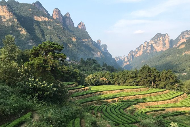 4 Days Zhangjiajie Classic Tour & Activities (5-star Hotel) - Day 2: Yuanjiajie and Tianzi Mountain