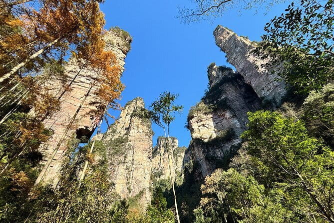 Zhangjiajie National Forest Park Admission Ticket - An Extensive Look at the Zhangjiajie Ticket Experience