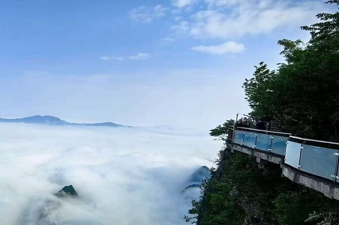One day tour of Zhangjiajie National Forest Park - The Experience: A Deep Dive into the Tour Itinerary