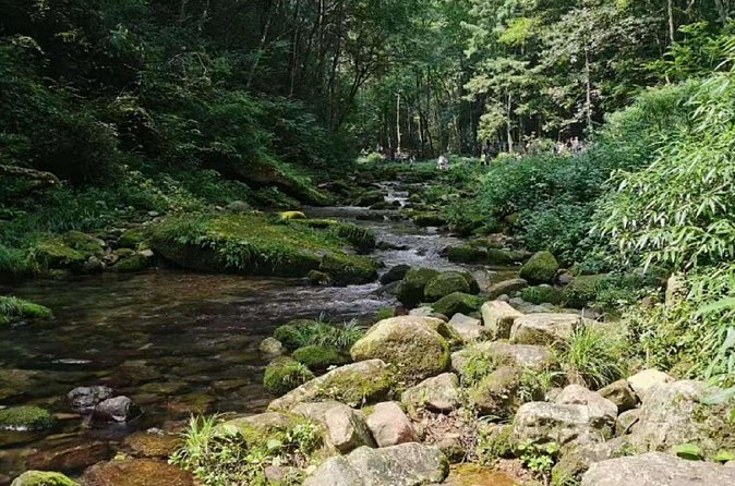 One day tour of Zhangjiajie National Forest Park - Who Should Consider This Tour?