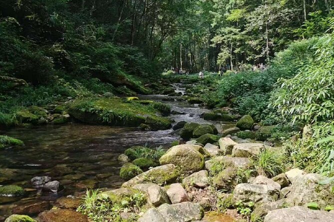 One day tour of Zhangjiajie National Forest Park - Good To Know